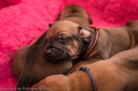 2021_08_14keepme-9613