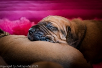 2021_08_14keepme-9615