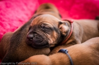 2021_08_14keepme-9618