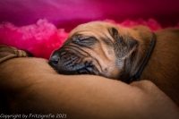 2021_08_14keepme-9620