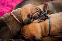 2021_08_14keepme-9622