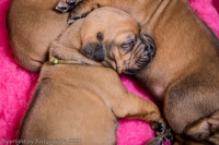 2021_08_14keepme-9637