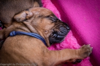 2021_08_14keepme-9638