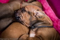 2021_08_14keepme-9640