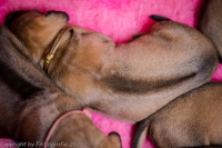 2021_08_14keepme-9642