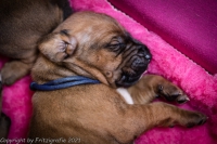 2021_08_14keepme-9649