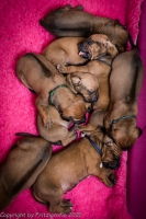 2021_08_14keepme-9652