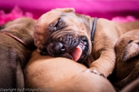 2021_08_14keepme-9660