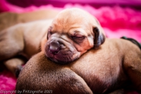 2021_08_14keepme-9673